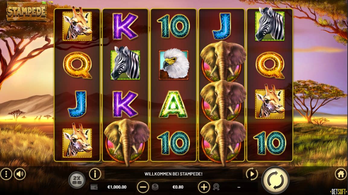 Stampede-Slot