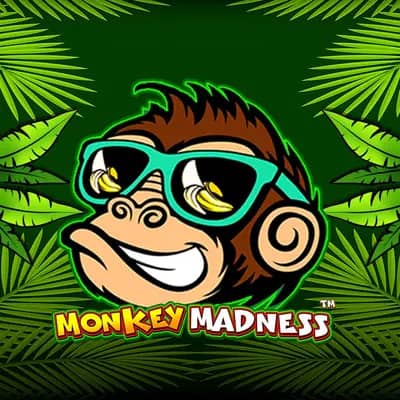 Monkey Madness