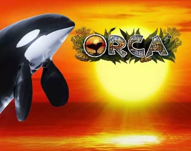 Orca