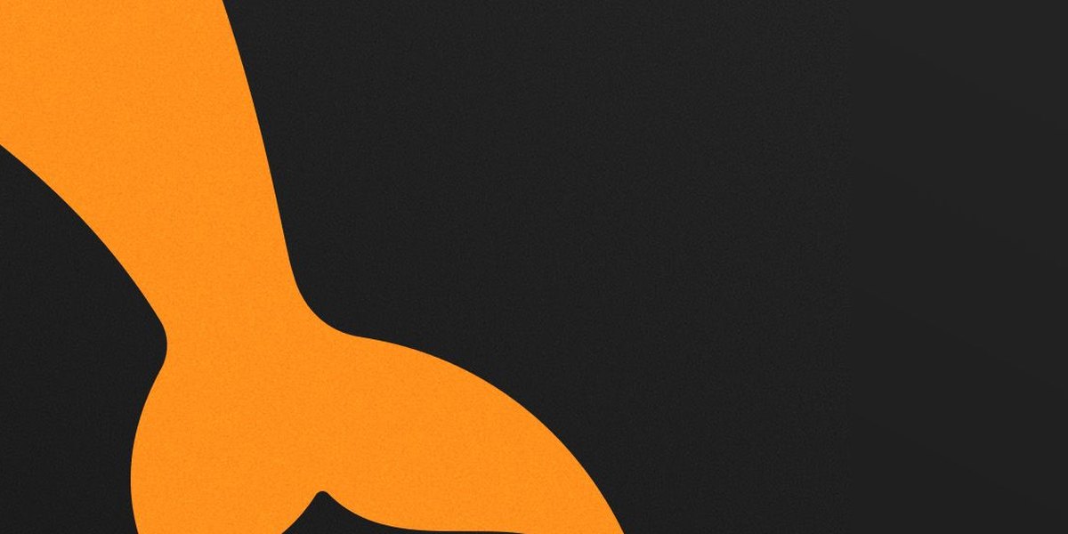Orange whale silhouette on a dark ground, Spinning Whale launch art