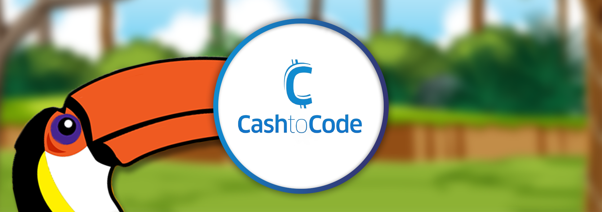 CashToCode Banner