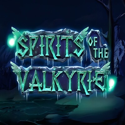 Spirit Of The Valkyrie